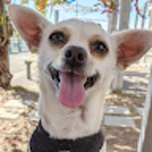 Meet your Posher, Lynn